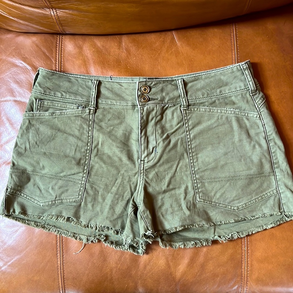 Anthropologie PILCRO Wanderer short